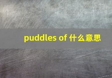 puddles of 什么意思